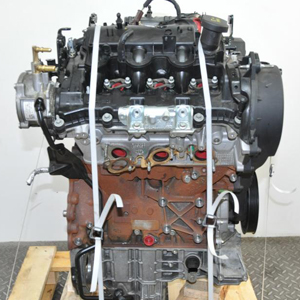 Restore the Workhorse Capability of Your Discovery with a Robust TDV6 Engine.