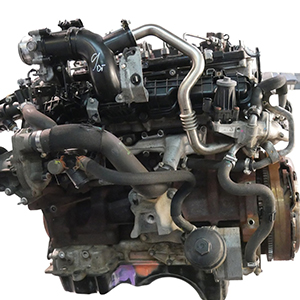 Install a capable SAFA engine in your Ford Ranger Wildtrak with supply and fit