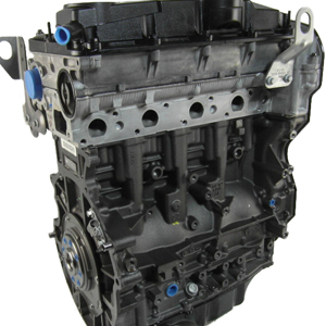 Install a Robust Ford Transit T350 2012 2.2 CYFA Engine with Full Warranty