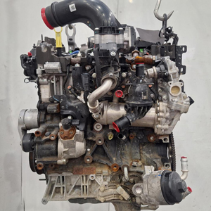 Expert supply and fit for your Ford Ranger Wildtrak automatic using a high-torque SAFA 3.2 TDCi engine