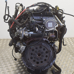 Professional supply and fit for your automatic Ford Ranger Wildtrak with a SAFA 3.2 TDCi diesel engine