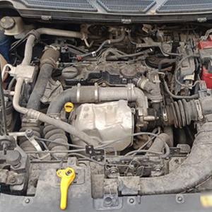 Professional M1JH 1.0L Petrol Engine Supply and Fit for Ford EcoSport Titanium