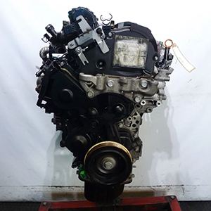 Citroen Berlingo 650 En-Prise BlueHDi 2019 1.6 DV6FE Diesel Engine for Sale with Warranty