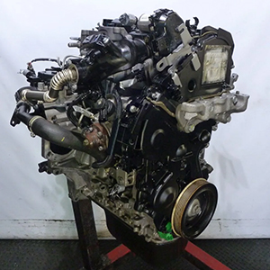 Citroen Berlingo 650 En-Prise BlueHDi 2019 1.6 DV6FE Diesel Engine for Sale with Warranty