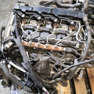 Professional supply and fit service for your Ford Transit 350 Trend with a durable CYFC 2.2L TDCi diesel engine