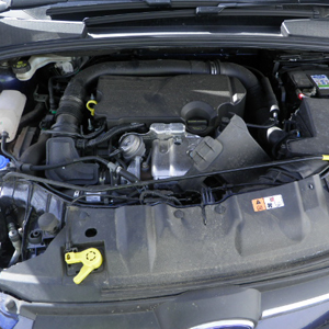 Ford Focus 2014 1.0 EcoBoost M1DA Engine with Supply and Fit Service