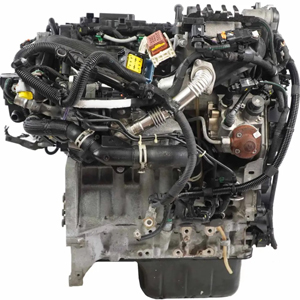 Citroen Berlingo 950 DV5RD Engine Supply and Fit with Vehicle Recovery