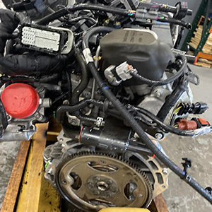 Professional M1JJ 1.0L Petrol Engine Supply and Fit for Ford EcoSport Titanium