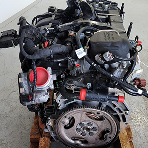 Organise a M1JJ 1.0L Petrol Engine Supply and Fit for your EcoSport Titanium