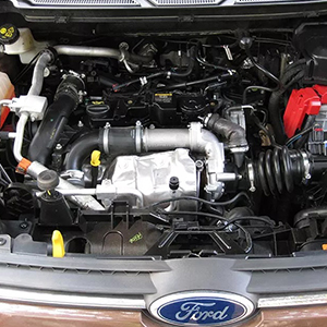 Ford Ecosport Titanium Turbo 2016 M1JH engine supplied with warranty expert fitting and rapid delivery