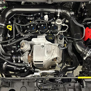 Ford Ecosport Titanium Turbo M1JH 2016 Engine Replacement with Delivery and Fitting Service