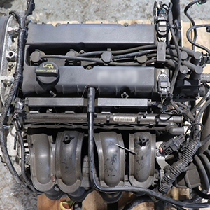 Equip your Focus Zetec S with a durable M1DA engine and supply and fit