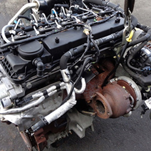 Ford Ranger Wildtrak 4x4 TDCi 2014 SAFA engine for sale with warranty reliable diesel replacement engine