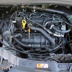 Professional Supply and Fit Service for a M1DD 1.5L Diesel Engine Ford Grand C-Max