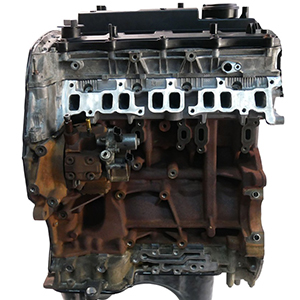 Ford Ranger Limited 4x4 TDCi 2014 QJ2R Engine Replacement with Delivery and Professional Fitting