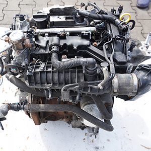 2015 Ford B Max SFJA Petrol Engine Replacement with Professional Supply and Fit