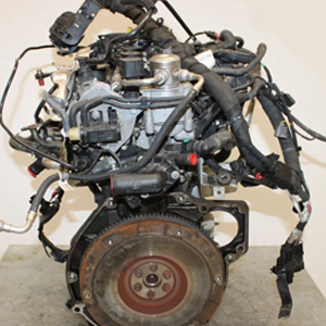 Professional supply and fit for your Ford Ecosport 1.0 with a reliable M1JC 1.0 EcoBoost engine